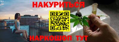 мдпв Новозыбков