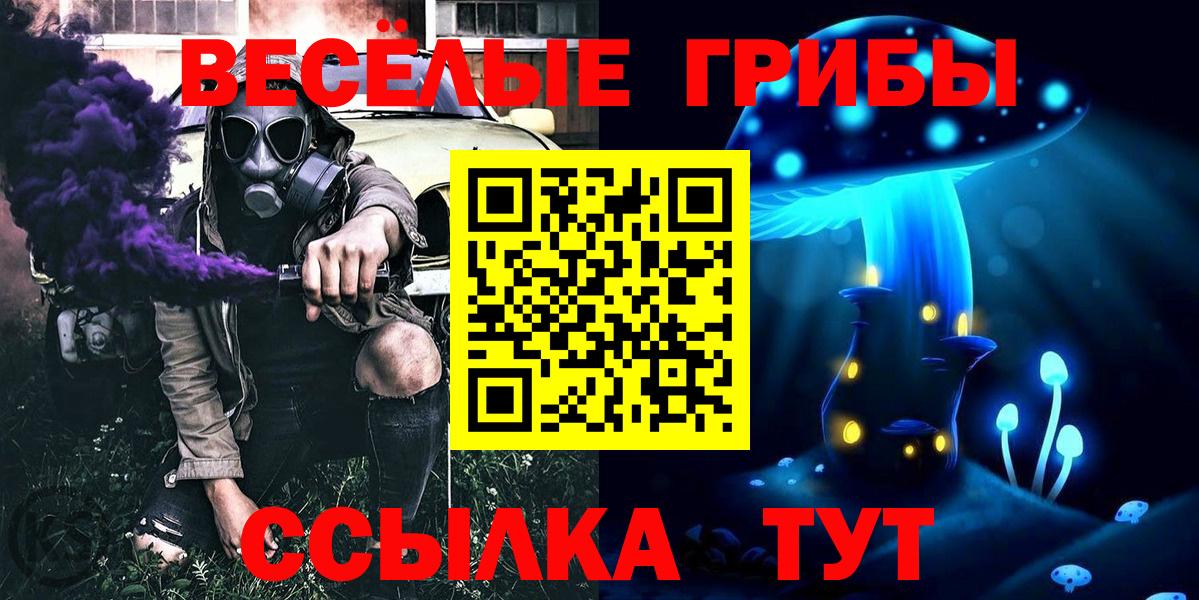 Туймазы  Галлюциногенные грибы Cubensis  Вход с VPN  Галлюциногенные грибы прущие грибы 